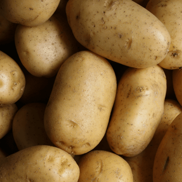 Fresh Potato (Organic & Farm Fresh)