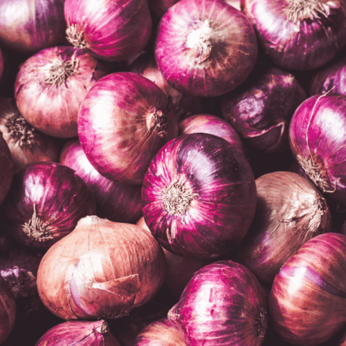 Onion